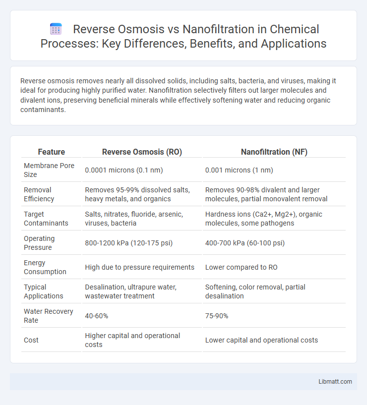 Reverse Osmosis vs Nanofiltration in Chemical Processes: Key Differences, Benefits, and Applications
