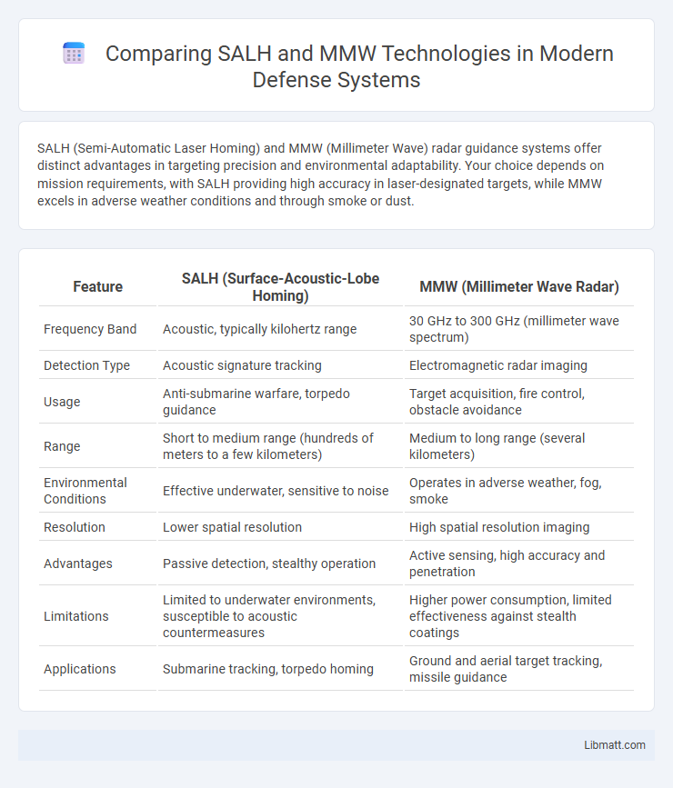 Comparing SALH and MMW Technologies in Modern Defense Systems