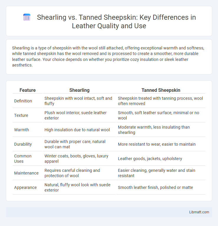 Shearling vs. Tanned Sheepskin: Key Differences in Leather Quality and Use