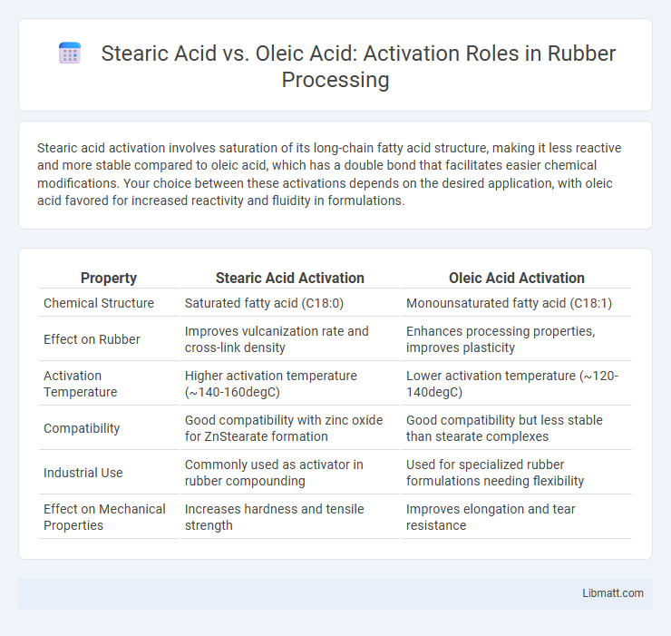 Stearic Acid vs. Oleic Acid: Activation Roles in Rubber Processing