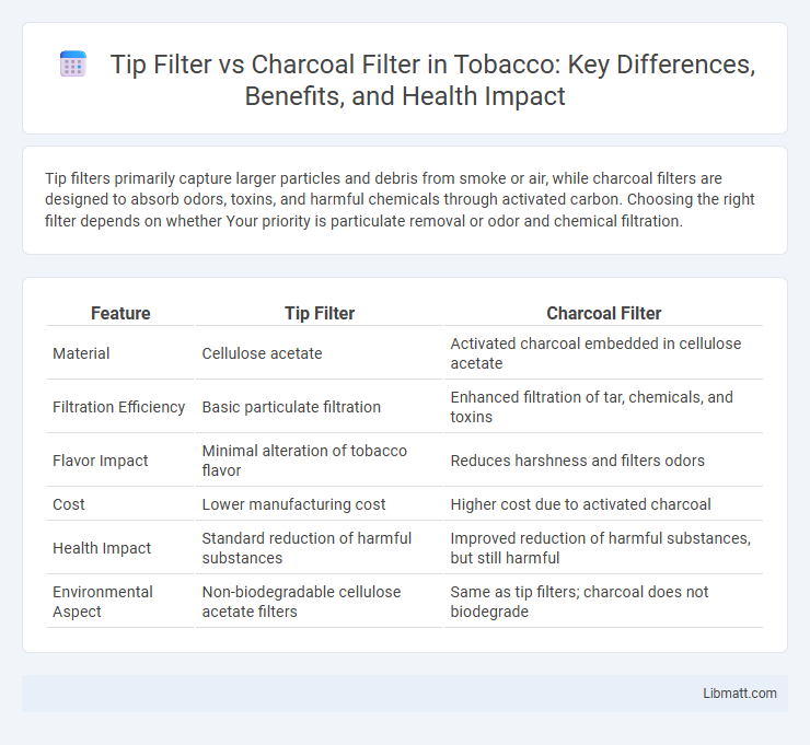 Tip Filter vs Charcoal Filter in Tobacco: Key Differences, Benefits, and Health Impact