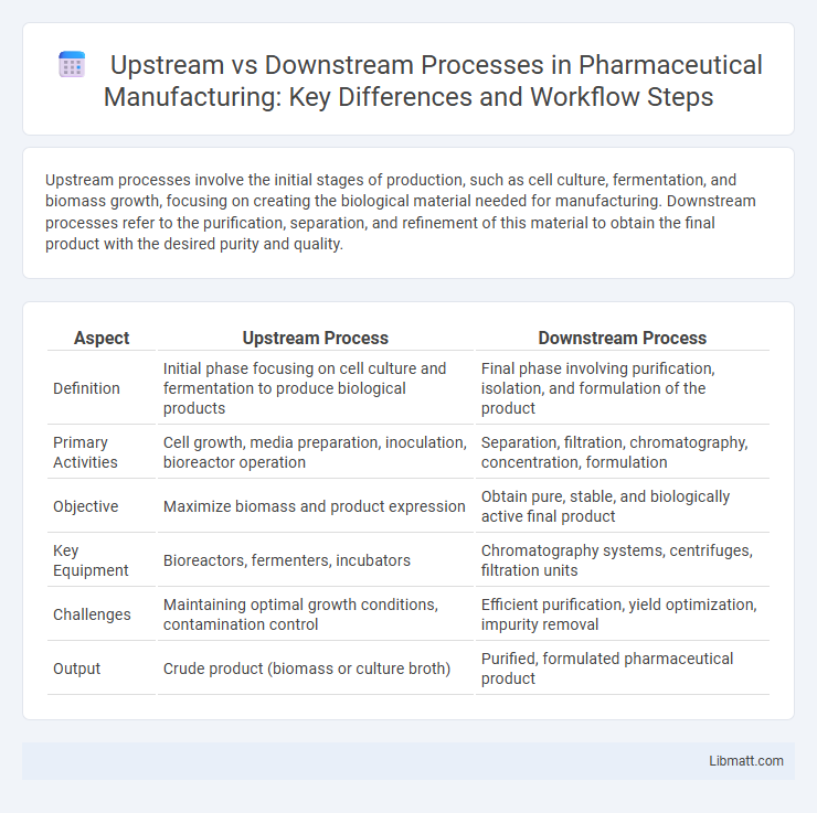 Upstream vs Downstream Processes in Pharmaceutical Manufacturing: Key Differences and Workflow Steps