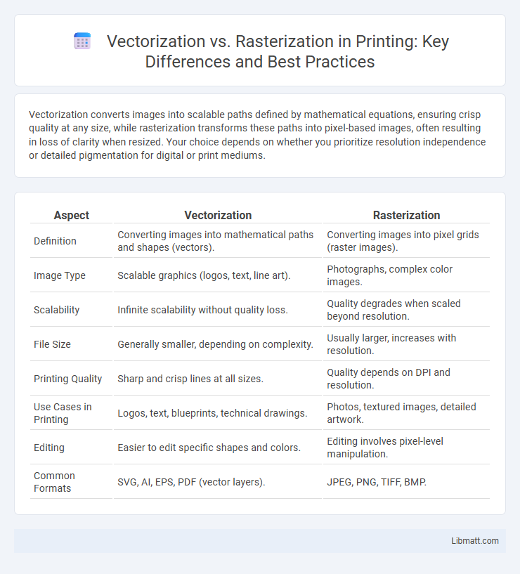 Vectorization vs. Rasterization in Printing: Key Differences and Best Practices