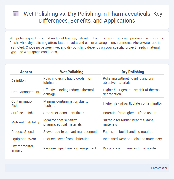 Wet Polishing vs. Dry Polishing in Pharmaceuticals: Key Differences, Benefits, and Applications