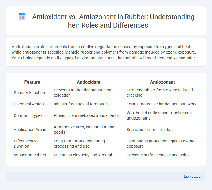 Antioxidant vs. Antiozonant in Rubber: Understanding Their Roles and Differences