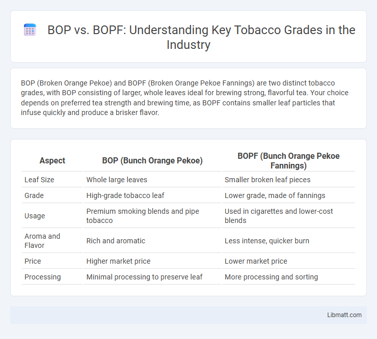 BOP vs. BOPF: Understanding Key Tobacco Grades in the Industry