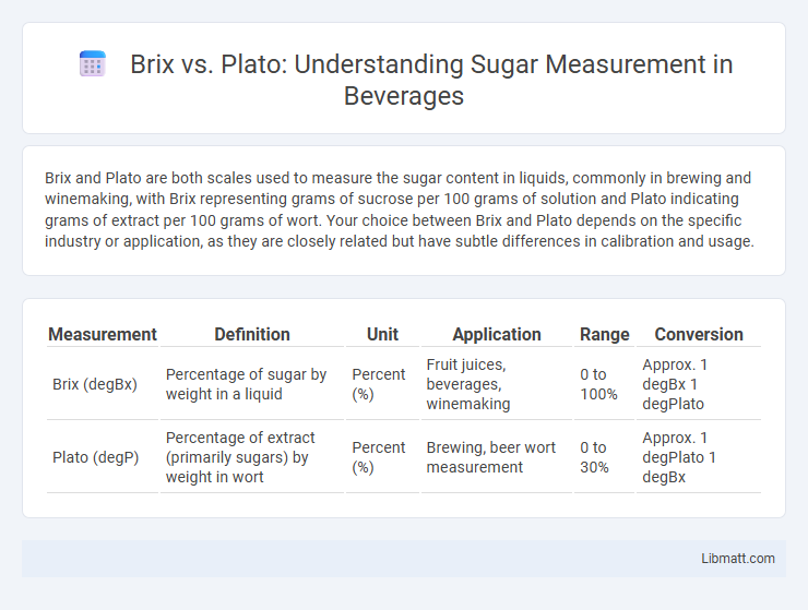 Brix vs. Plato: Understanding Sugar Measurement in Beverages