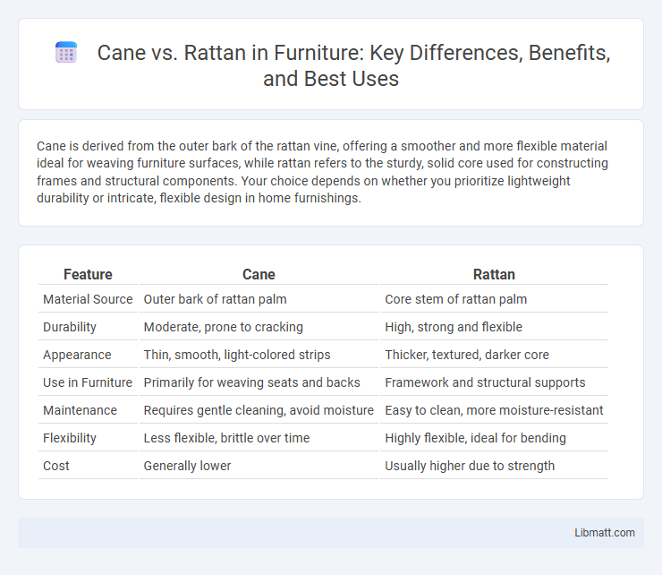 Cane vs. Rattan in Furniture: Key Differences, Benefits, and Best Uses