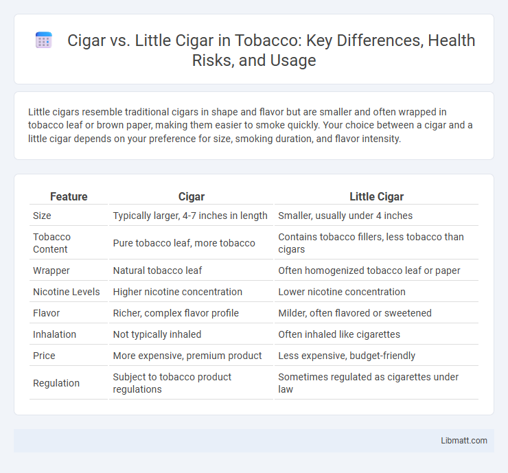 Cigar vs. Little Cigar in Tobacco: Key Differences, Health Risks, and Usage