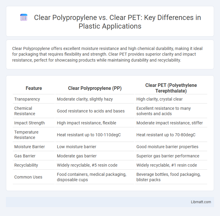 Clear Polypropylene vs. Clear PET: Key Differences in Plastic Applications