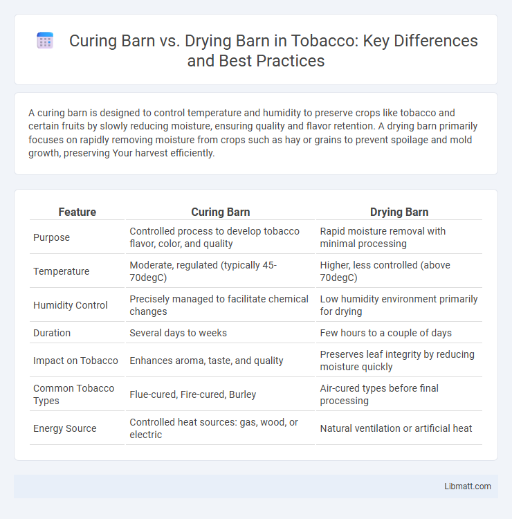 Curing Barn vs. Drying Barn in Tobacco: Key Differences and Best Practices