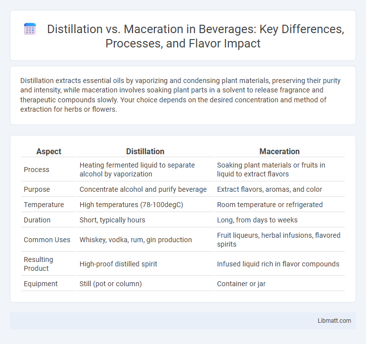 Distillation vs. Maceration in Beverages: Key Differences, Processes, and Flavor Impact