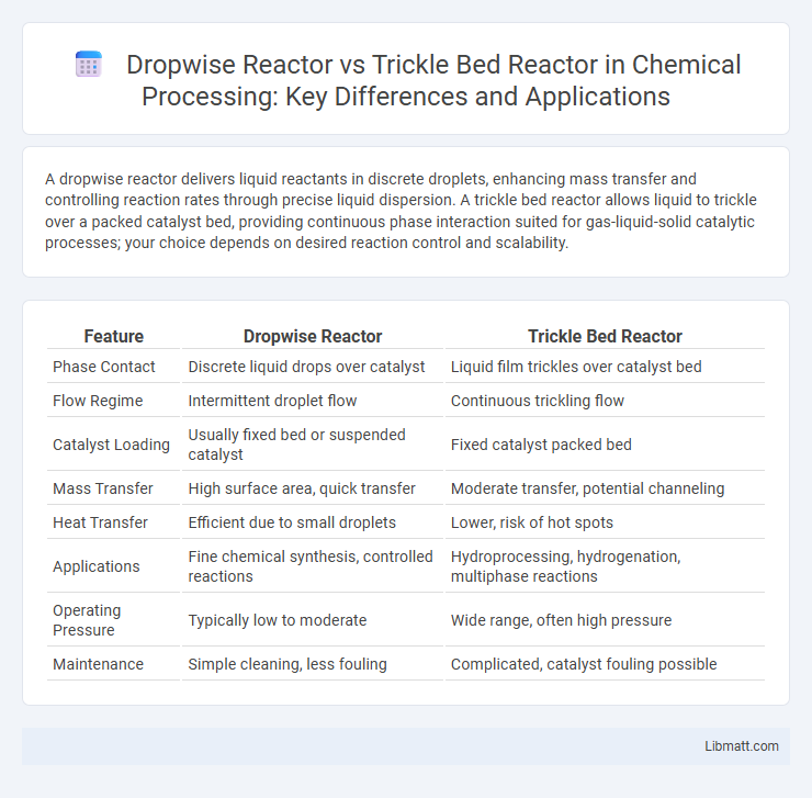 Dropwise Reactor vs Trickle Bed Reactor in Chemical Processing: Key Differences and Applications
