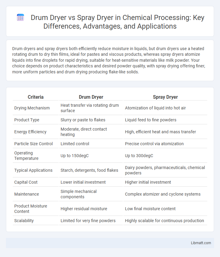 Drum Dryer vs Spray Dryer in Chemical Processing: Key Differences, Advantages, and Applications