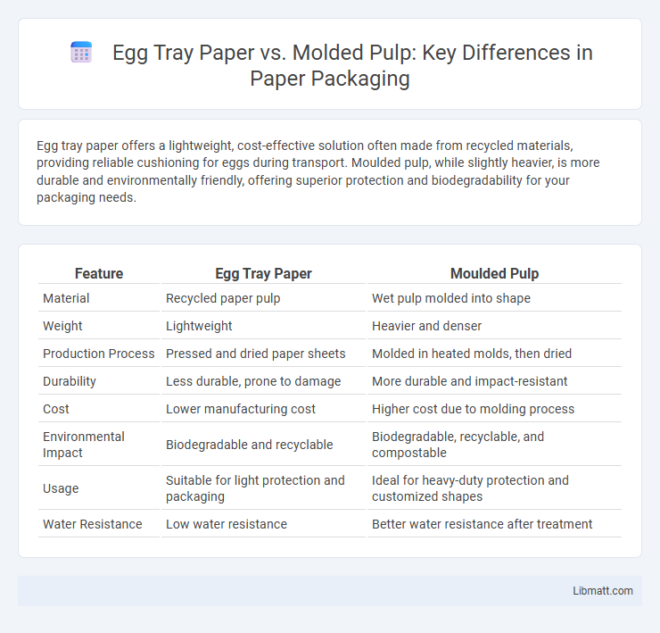 Egg Tray Paper vs. Molded Pulp: Key Differences in Paper Packaging