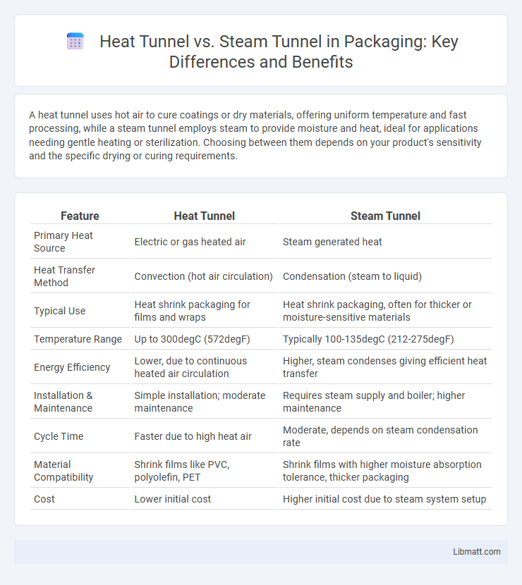 Heat Tunnel vs. Steam Tunnel in Packaging: Key Differences and Benefits