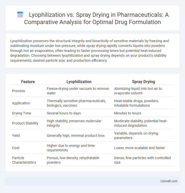 Lyophilization vs. Spray Drying in Pharmaceuticals: A Comparative Analysis for Optimal Drug Formulation