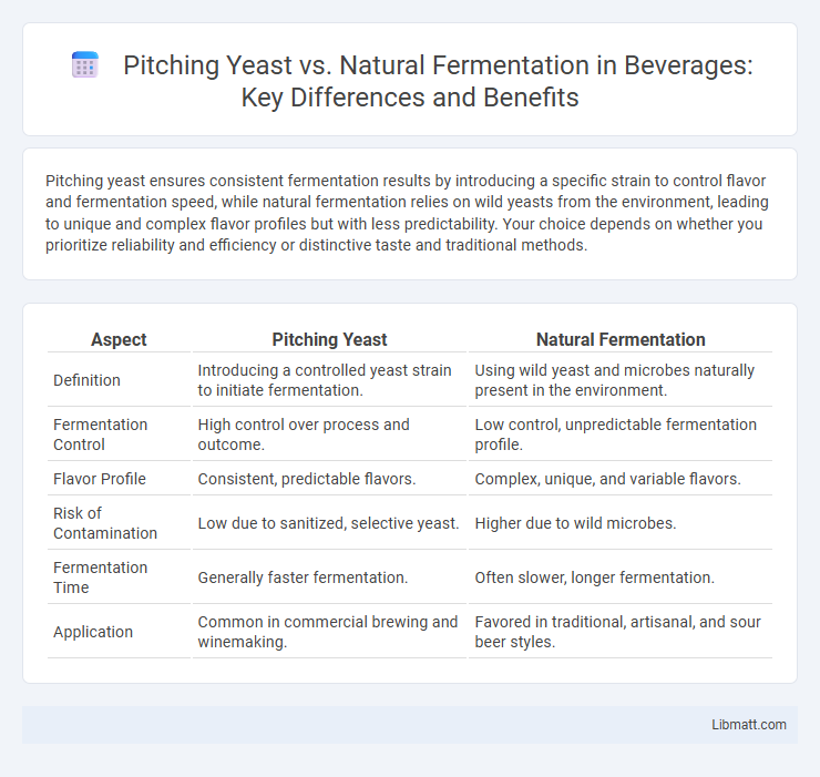 Pitching Yeast vs. Natural Fermentation in Beverages: Key Differences and Benefits