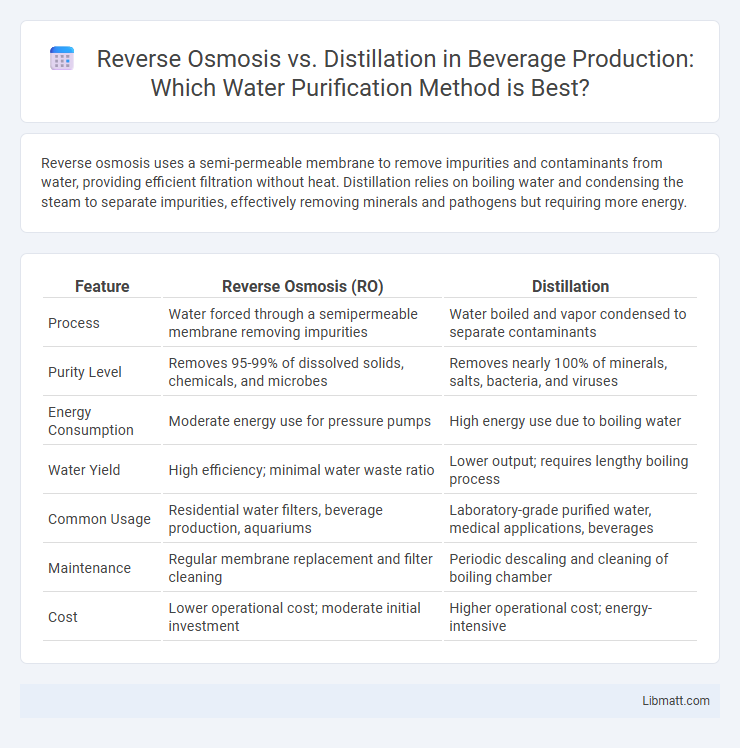 Reverse Osmosis vs. Distillation in Beverage Production: Which Water Purification Method is Best?