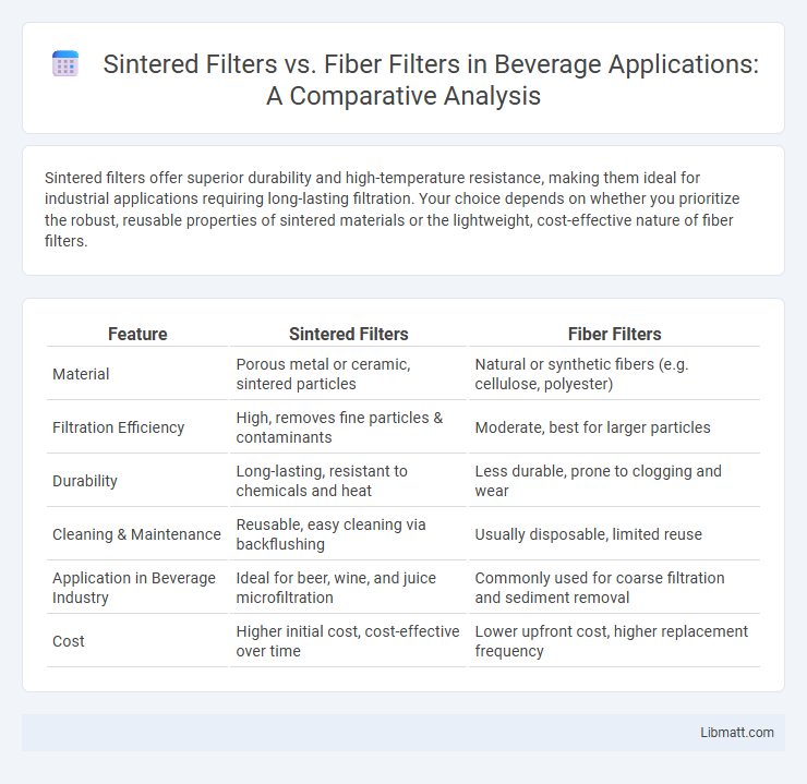Sintered Filters vs. Fiber Filters in Beverage Applications: A Comparative Analysis