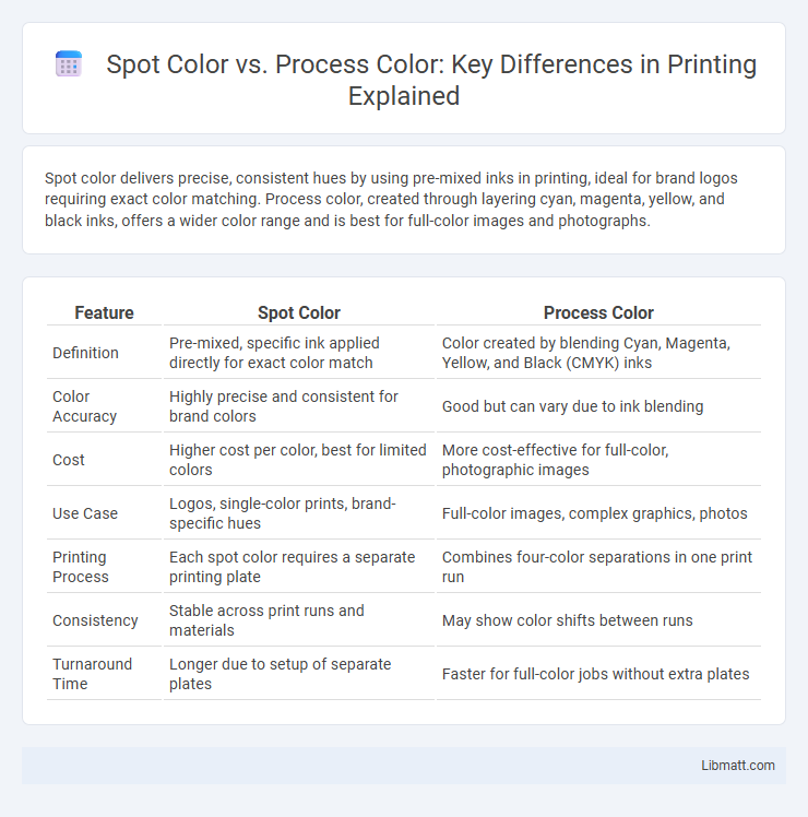 Spot Color vs. Process Color: Key Differences in Printing Explained