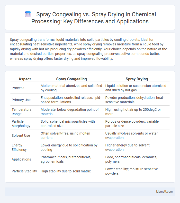 Spray Congealing vs. Spray Drying in Chemical Processing: Key Differences and Applications