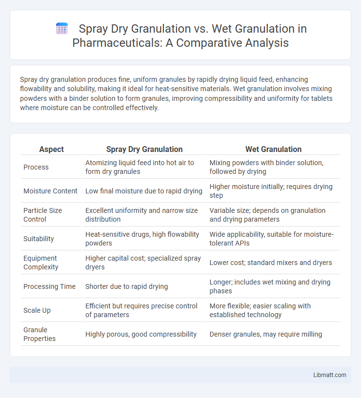 Spray Dry Granulation vs. Wet Granulation in Pharmaceuticals: A Comparative Analysis