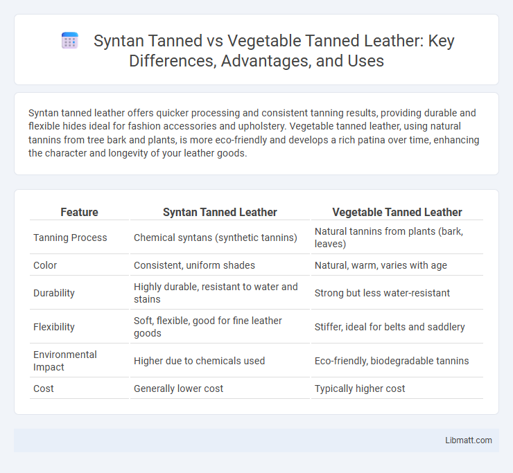 Syntan Tanned vs Vegetable Tanned Leather: Key Differences, Advantages, and Uses