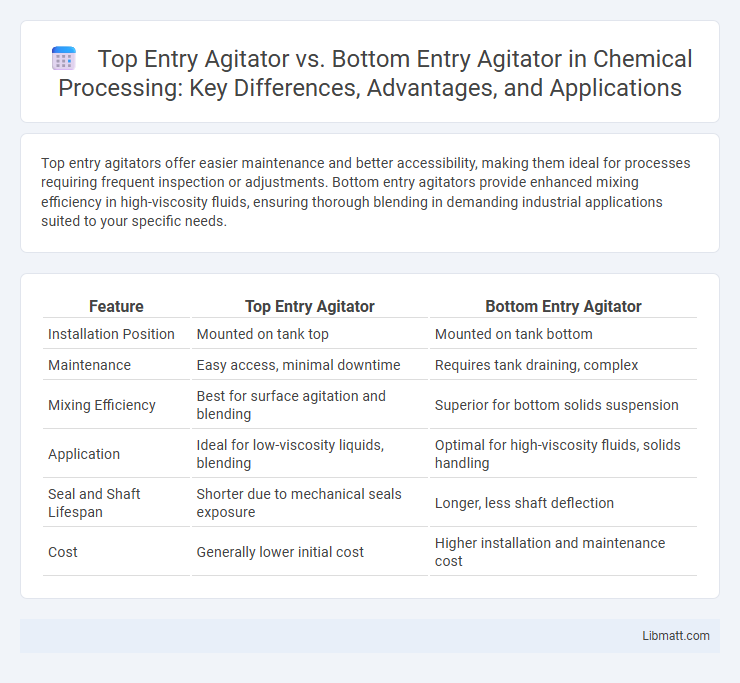 Top Entry Agitator vs. Bottom Entry Agitator in Chemical Processing: Key Differences, Advantages, and Applications
