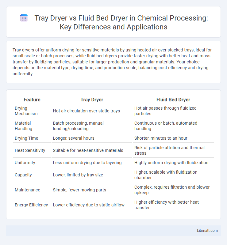 Tray Dryer vs Fluid Bed Dryer in Chemical Processing: Key Differences and Applications