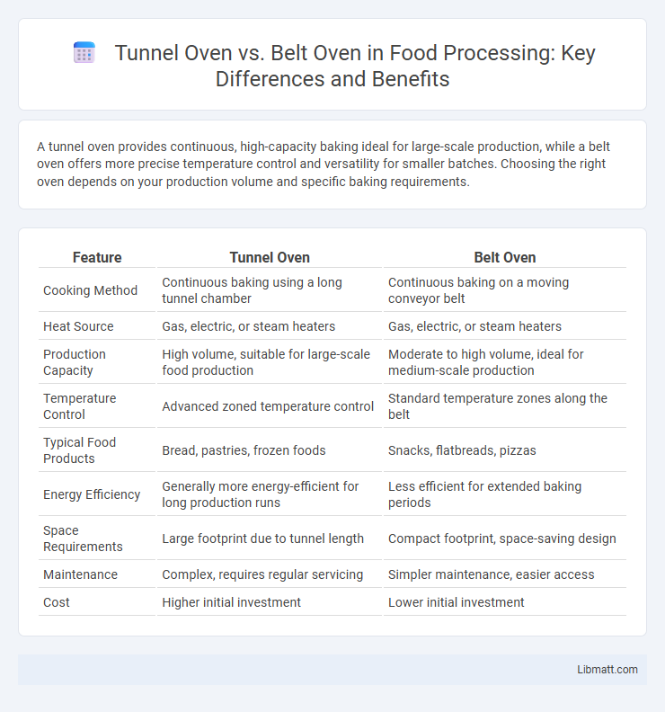 Tunnel Oven vs. Belt Oven in Food Processing: Key Differences and Benefits