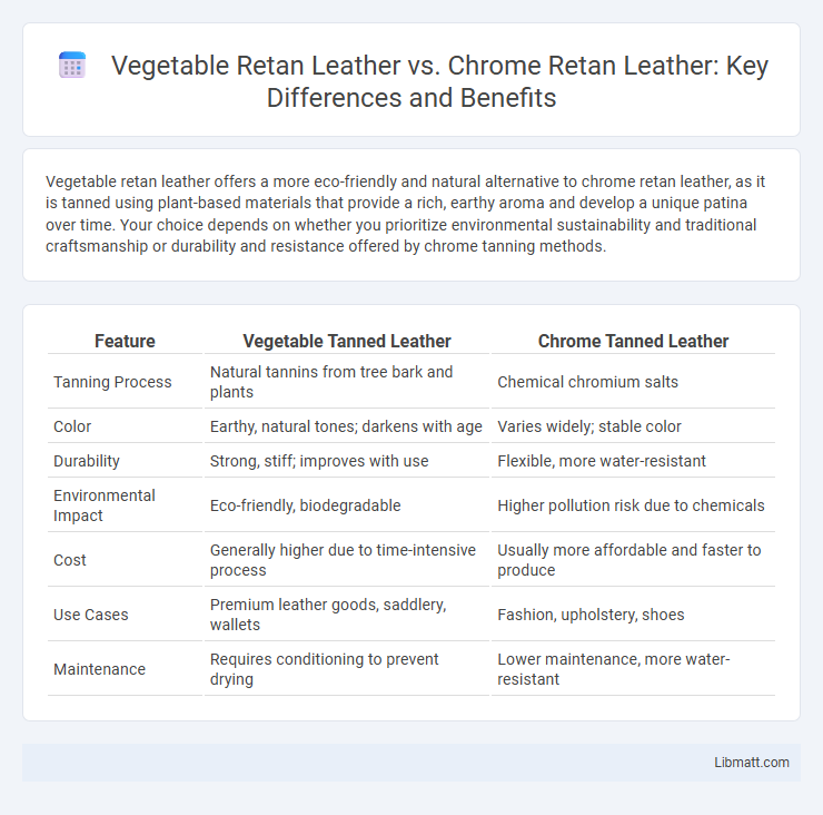 Vegetable Retan Leather vs. Chrome Retan Leather: Key Differences and Benefits