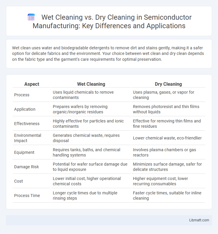 Wet Cleaning vs. Dry Cleaning in Semiconductor Manufacturing: Key Differences and Applications