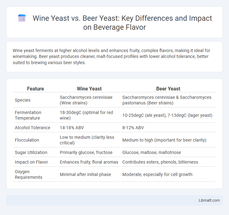 Wine Yeast vs. Beer Yeast: Key Differences and Impact on Beverage Flavor