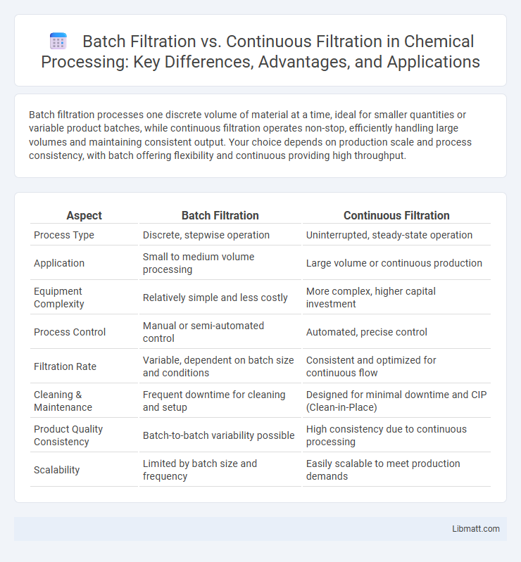 Batch Filtration vs. Continuous Filtration in Chemical Processing: Key Differences, Advantages, and Applications