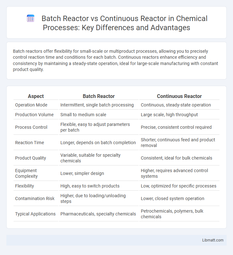 Batch Reactor vs Continuous Reactor in Chemical Processes: Key Differences and Advantages