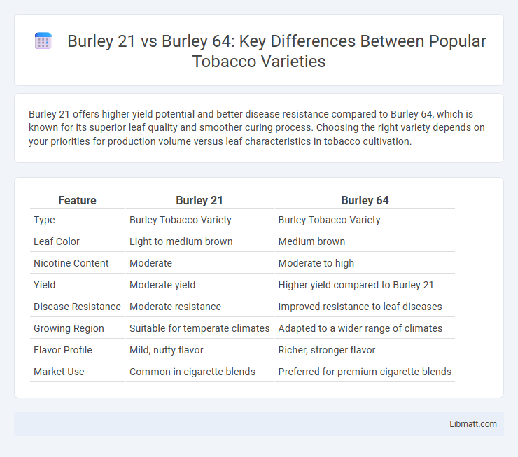 Burley 21 vs Burley 64: Key Differences Between Popular Tobacco Varieties