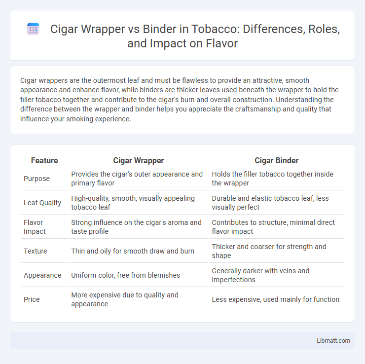 Cigar Wrapper vs Binder in Tobacco: Differences, Roles, and Impact on Flavor