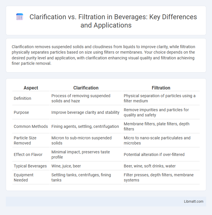 Clarification vs. Filtration in Beverages: Key Differences and Applications