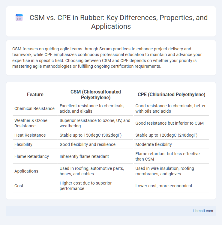 CSM vs. CPE in Rubber: Key Differences, Properties, and Applications