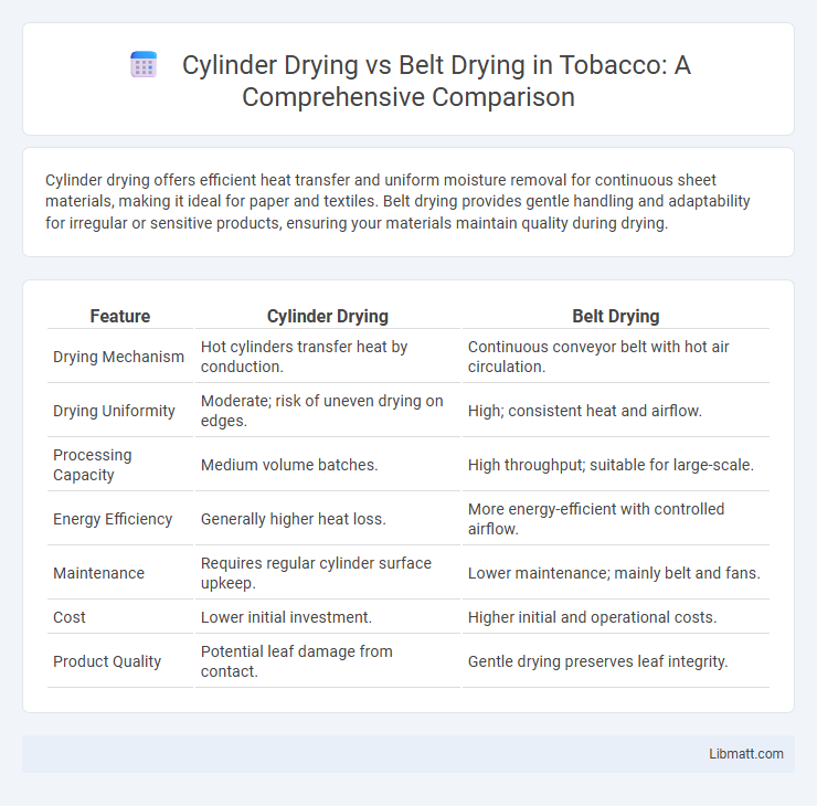 Cylinder Drying vs Belt Drying in Tobacco: A Comprehensive Comparison