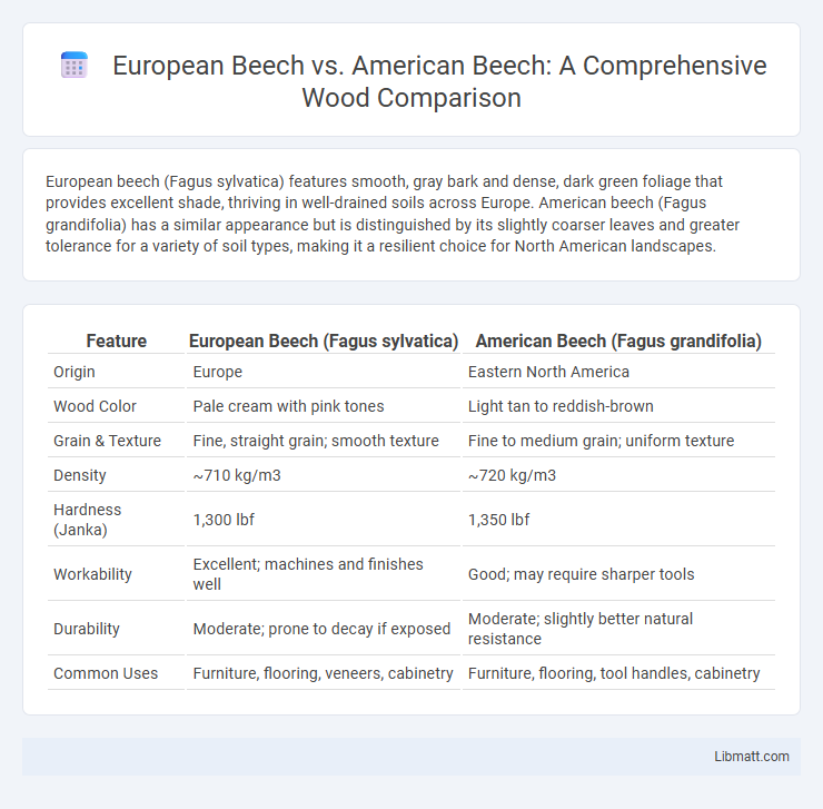 European Beech vs. American Beech: A Comprehensive Wood Comparison