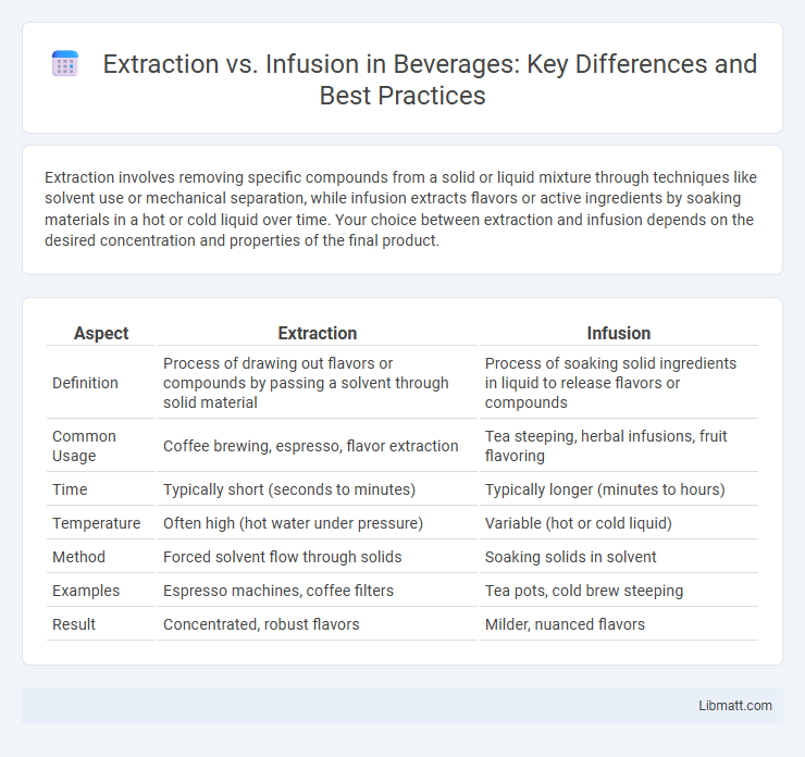 Extraction vs. Infusion in Beverages: Key Differences and Best Practices