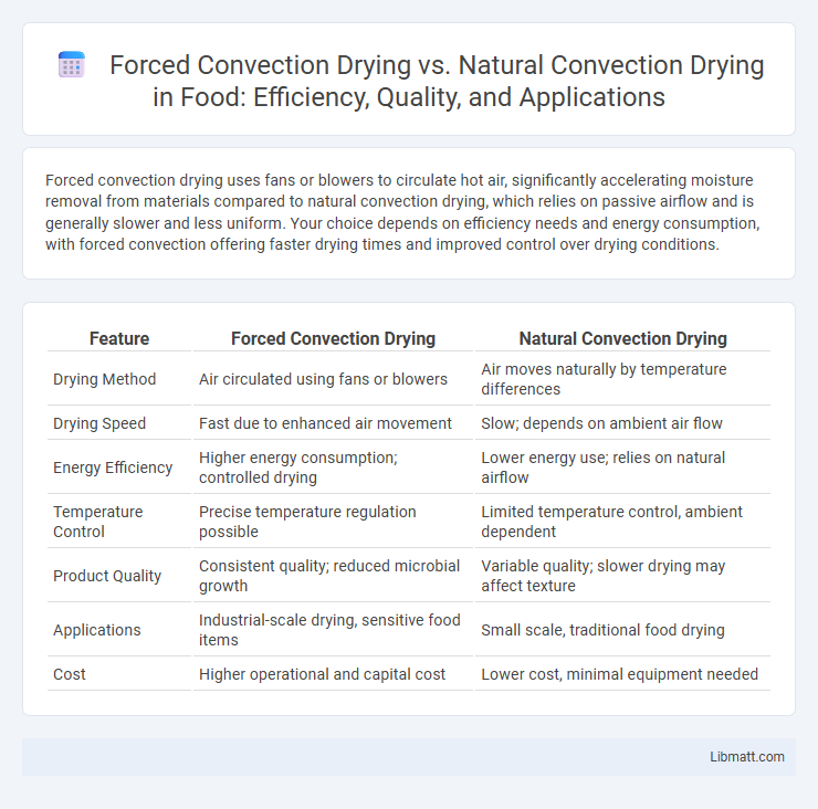 Forced Convection Drying vs. Natural Convection Drying in Food: Efficiency, Quality, and Applications