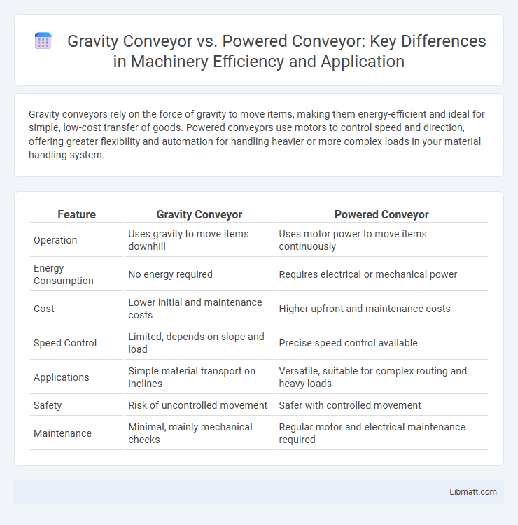 Gravity Conveyor vs. Powered Conveyor: Key Differences in Machinery Efficiency and Application