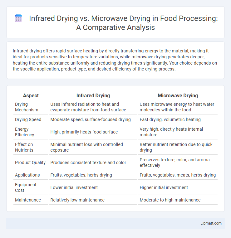 Infrared Drying vs. Microwave Drying in Food Processing: A Comparative Analysis