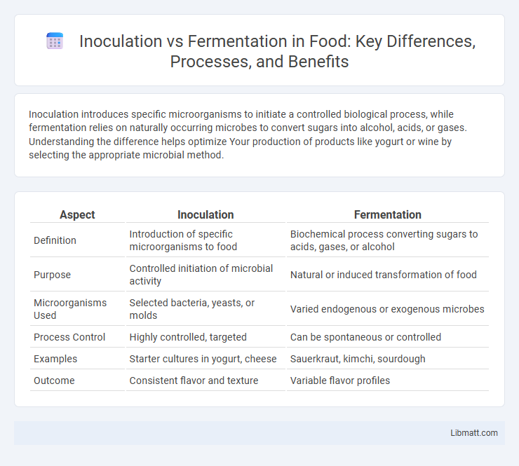 Inoculation vs Fermentation in Food: Key Differences, Processes, and Benefits