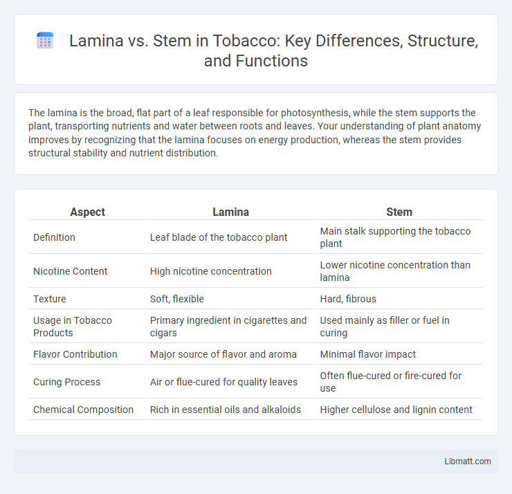 Lamina vs. Stem in Tobacco: Key Differences, Structure, and Functions