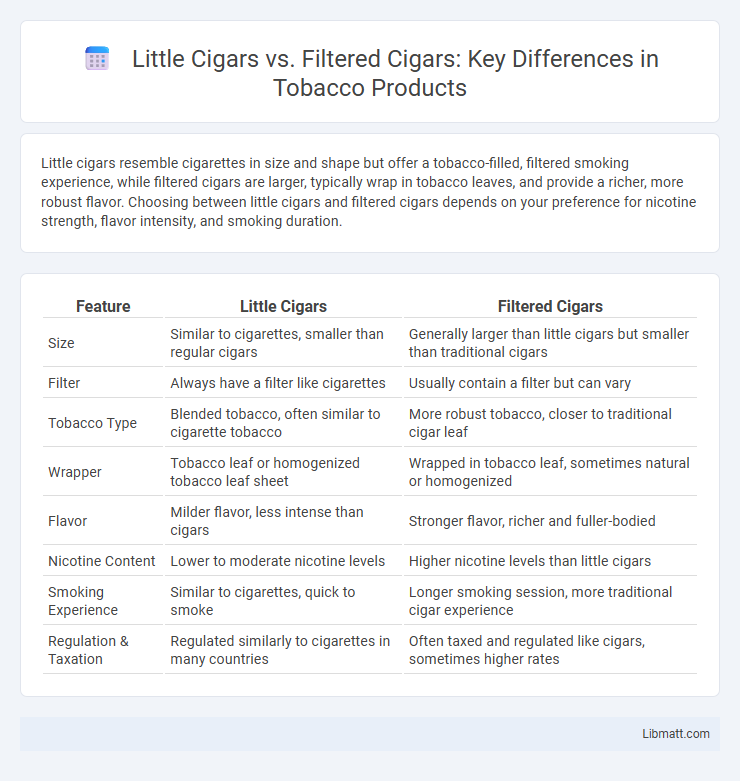 Little Cigars vs. Filtered Cigars: Key Differences in Tobacco Products