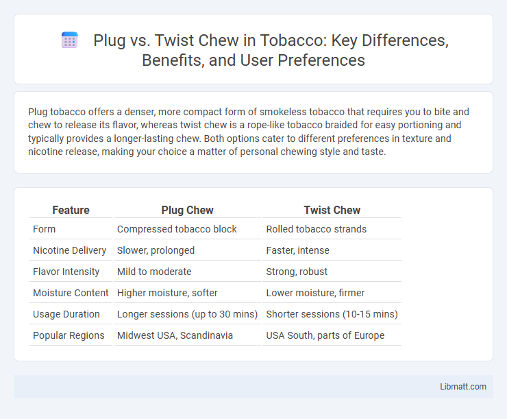 Plug vs. Twist Chew in Tobacco: Key Differences, Benefits, and User Preferences